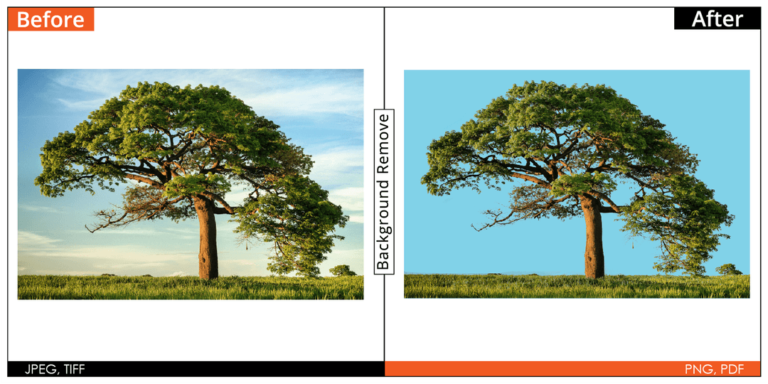 Background Remove